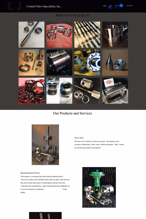 Control-Valve-Specialists Homepage 1440px