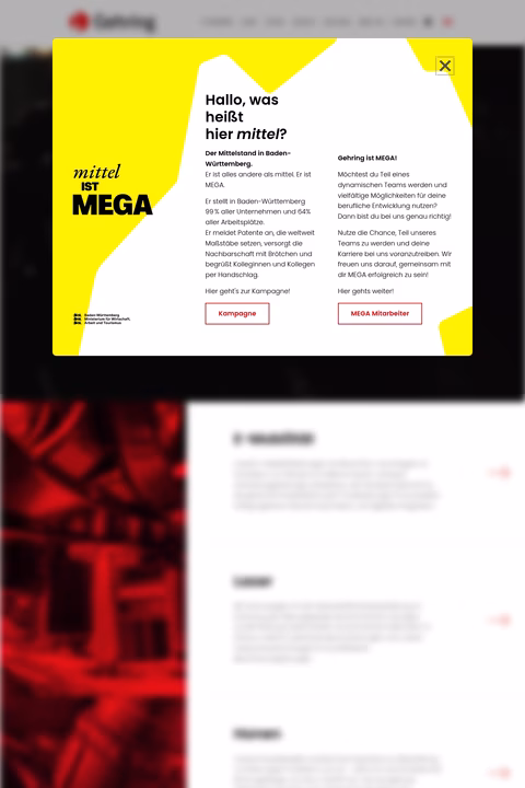 Gehring-Technologies Homepage 1440px