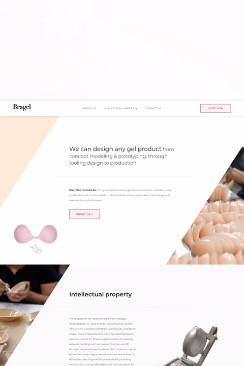 Bragel-International Homepage 1440px
